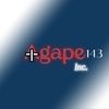 agapeinc13